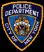 nypdpatch